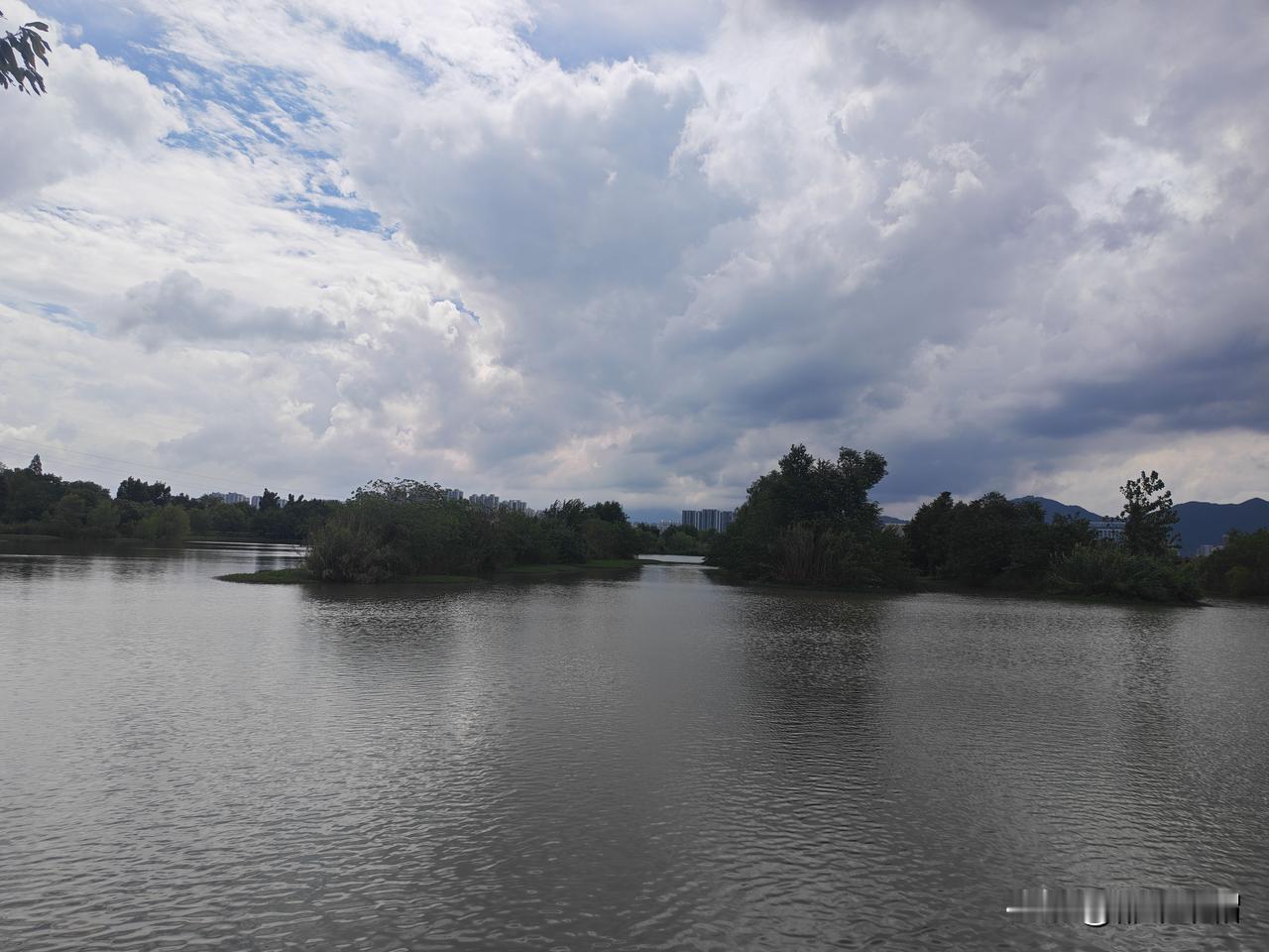 阳陂湖蒹葭园，一个一个的小洲上，长满了蒹葭（我们叫芦苇），不由得让人想起诗经里的