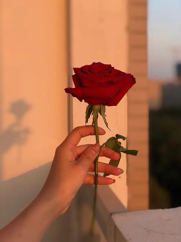 爱自己，是一场终生的修行。很多人以为爱自己只是关心自己的衣食住行，其实更重要的是