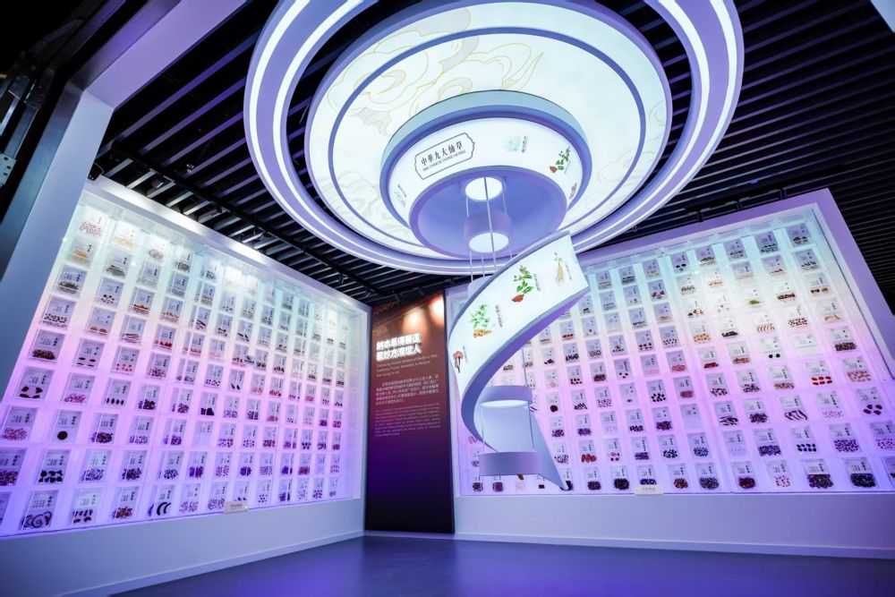 跨越山海 以医载道 老字号探索中医药国际化新路径