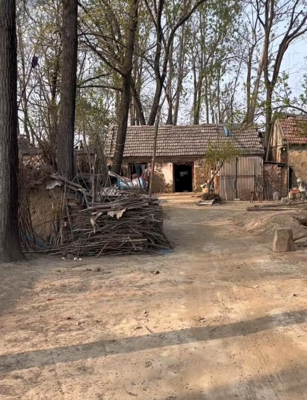 你有没有发现一个神奇的现象？特别是在农村，有两个男孩的家庭，小儿子的一般都是比较