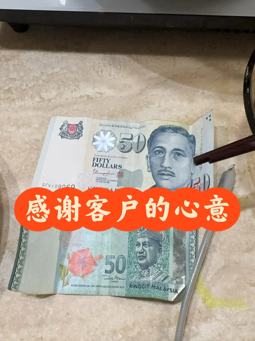 长隆野生动物世界6月16日