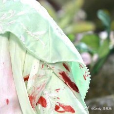 阳光信用 ☀️每日一善人生没有幸不幸福，只有知不知足， 温饱无虑是幸事，无病无灾