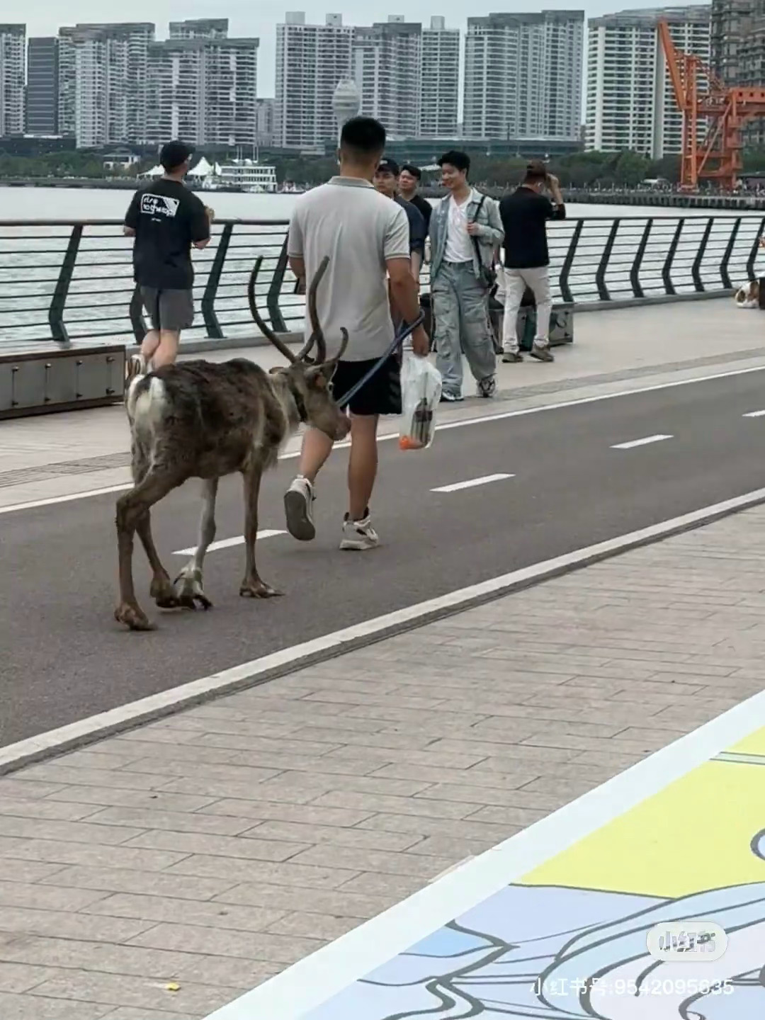 只有我想不到的，就没有上海人做不到的[笑cry] ​​​