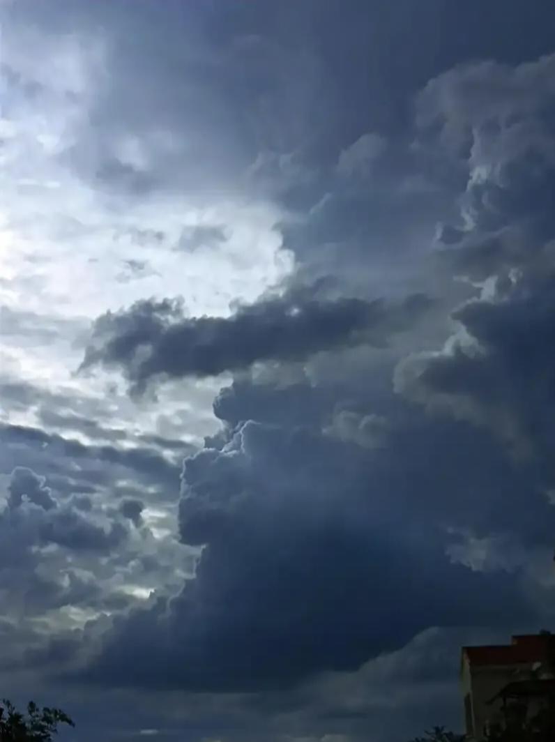 《一》 骤雨前的留白

蝉鸣把空气拉得紧绷
像一根即将断裂的弦
赤白的日光，是无