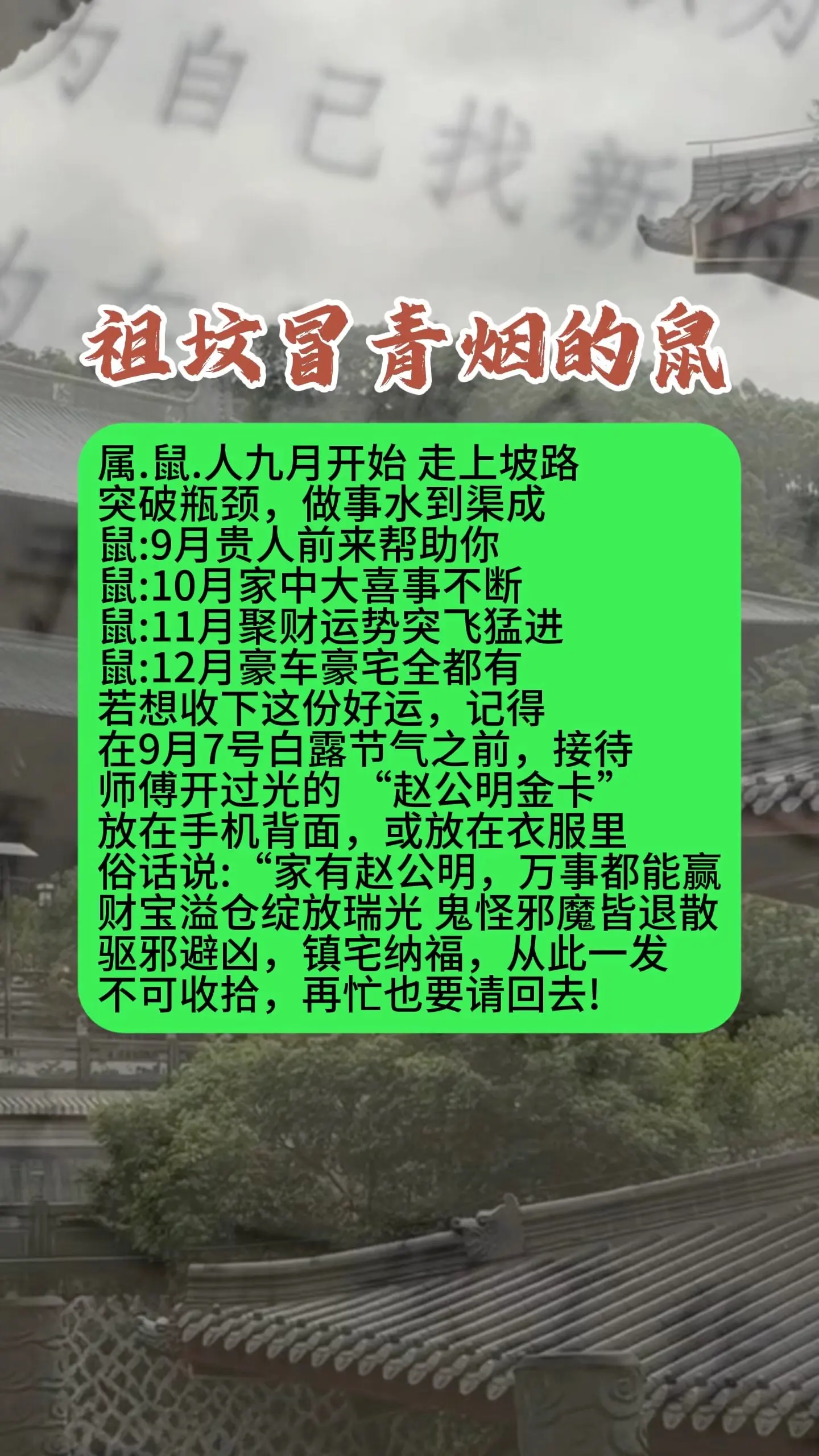 1996鼠 1984年老鼠 1972年的鼠