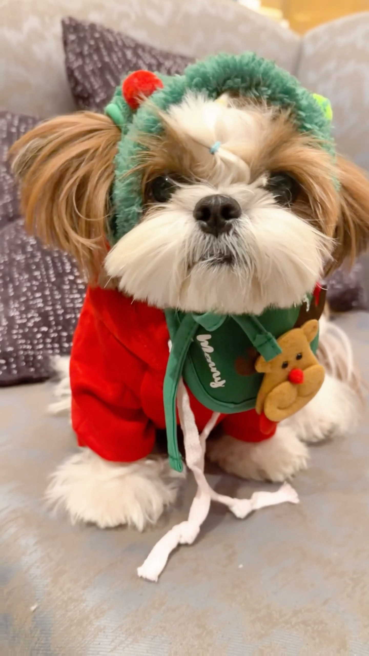 这就是老钱风笑声吗？救…好喜欢… 