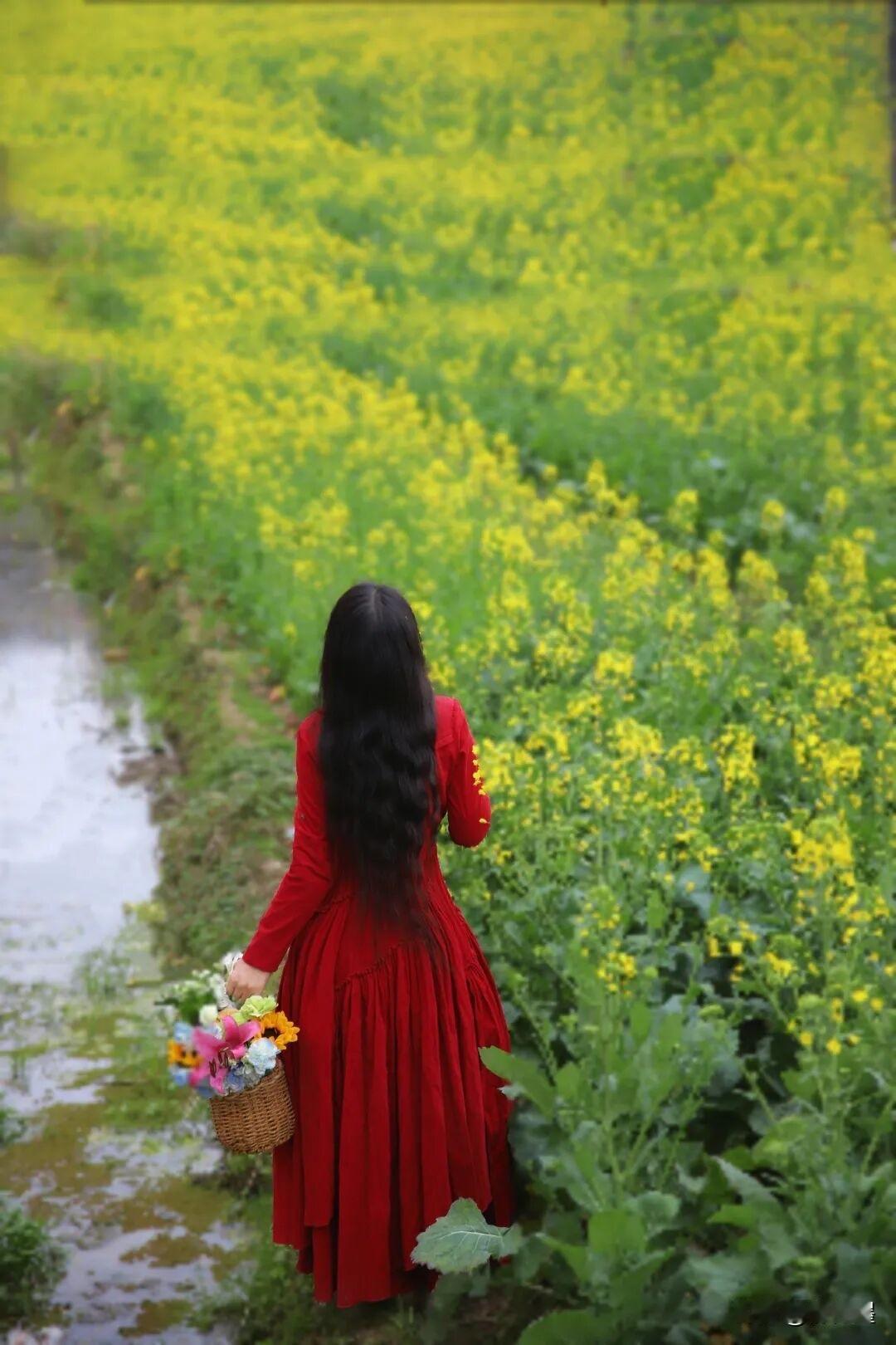 中年姐姐在油菜花田拍照，怎么能让自己更醒目呢？
穿红的。
因为油菜花田是金黄色的