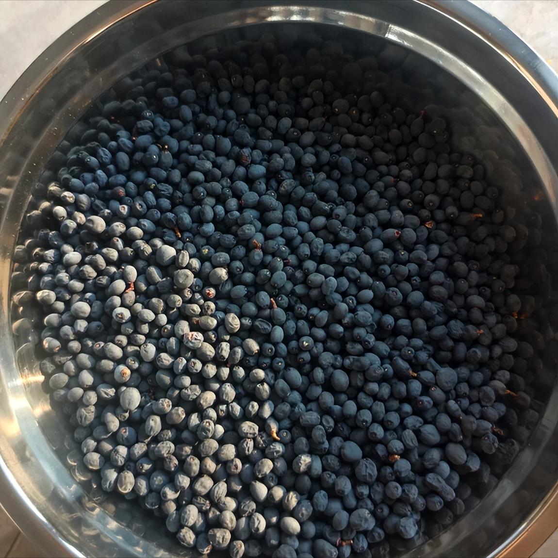 千万别用这 1 个药，除非想彻底断根耳鸣脑鸣，还不到几毛钱

我是陈玉龙教授，临