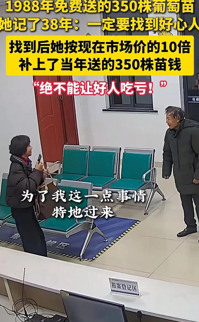 1988年，女子家里穷的揭不开锅，有人免费送她350株葡萄苗，让女子发家致富，这