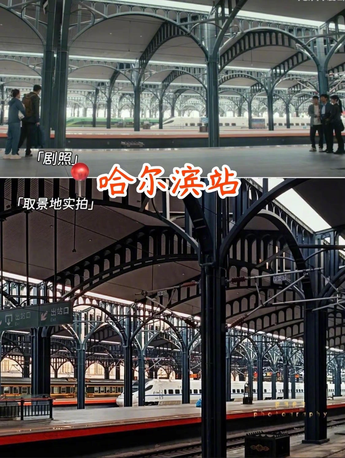 #跟着热播剧打卡哈尔滨同款拍摄地##低智商犯罪哈尔滨取景地# 谁看完《低智商犯罪