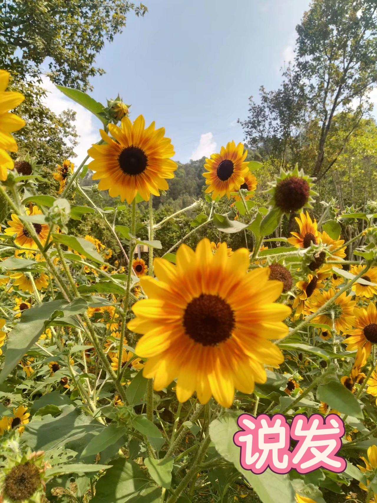 人活着，活着，就彻底明白了。
很多事，历经岁月洗礼，才让人读懂生活深意。
渐渐的