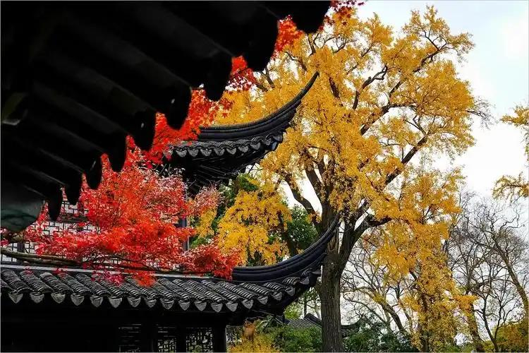 被说‘无聊’的苏州！藏着千年松弛感密码，为啥这么多人爱？

很多人第一次到苏州，