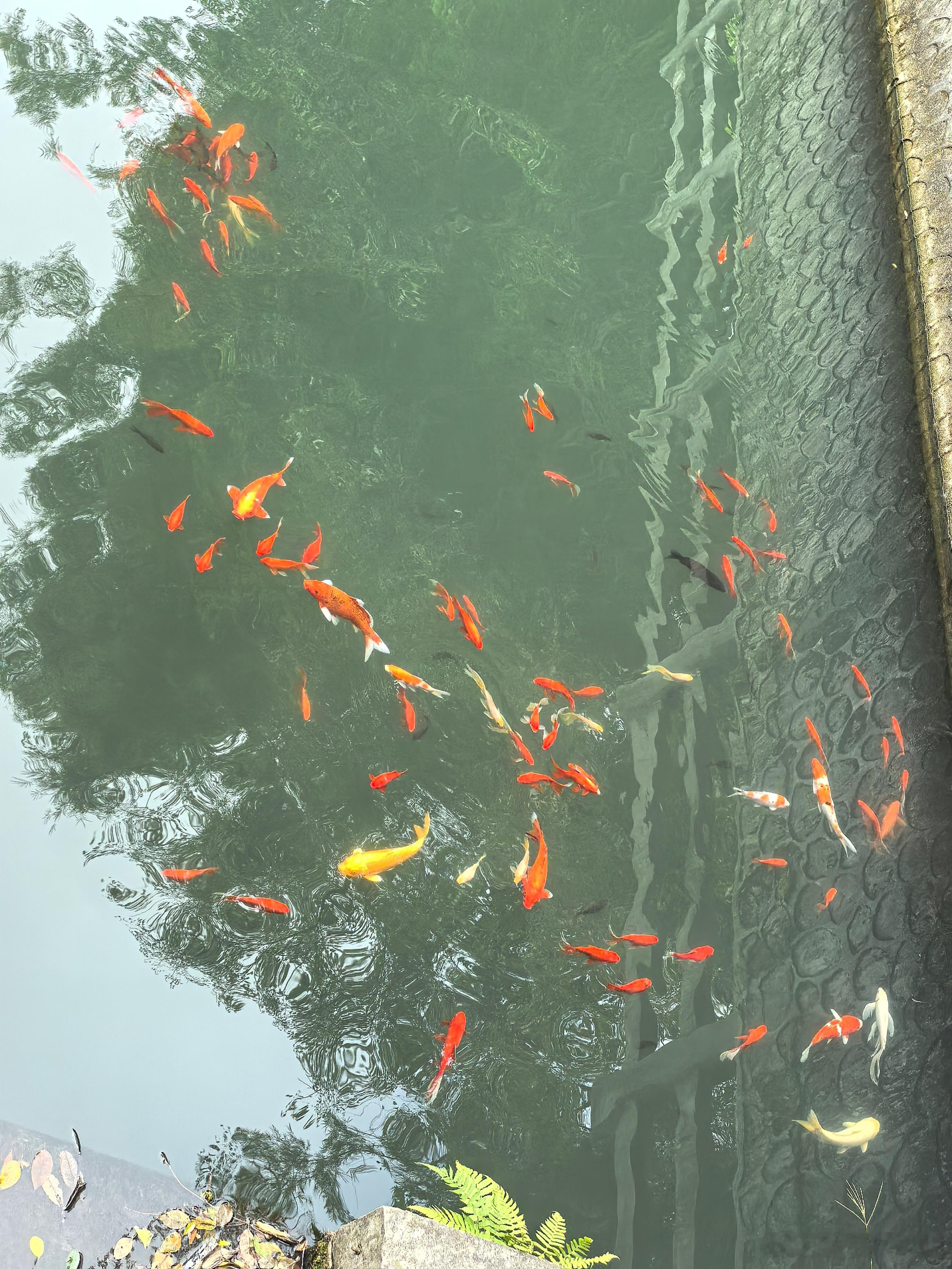 女子做磁共振两次黑屏竟因化了妆她用的什么品牌化妆品？这个就有点稀奇了？难道她的化