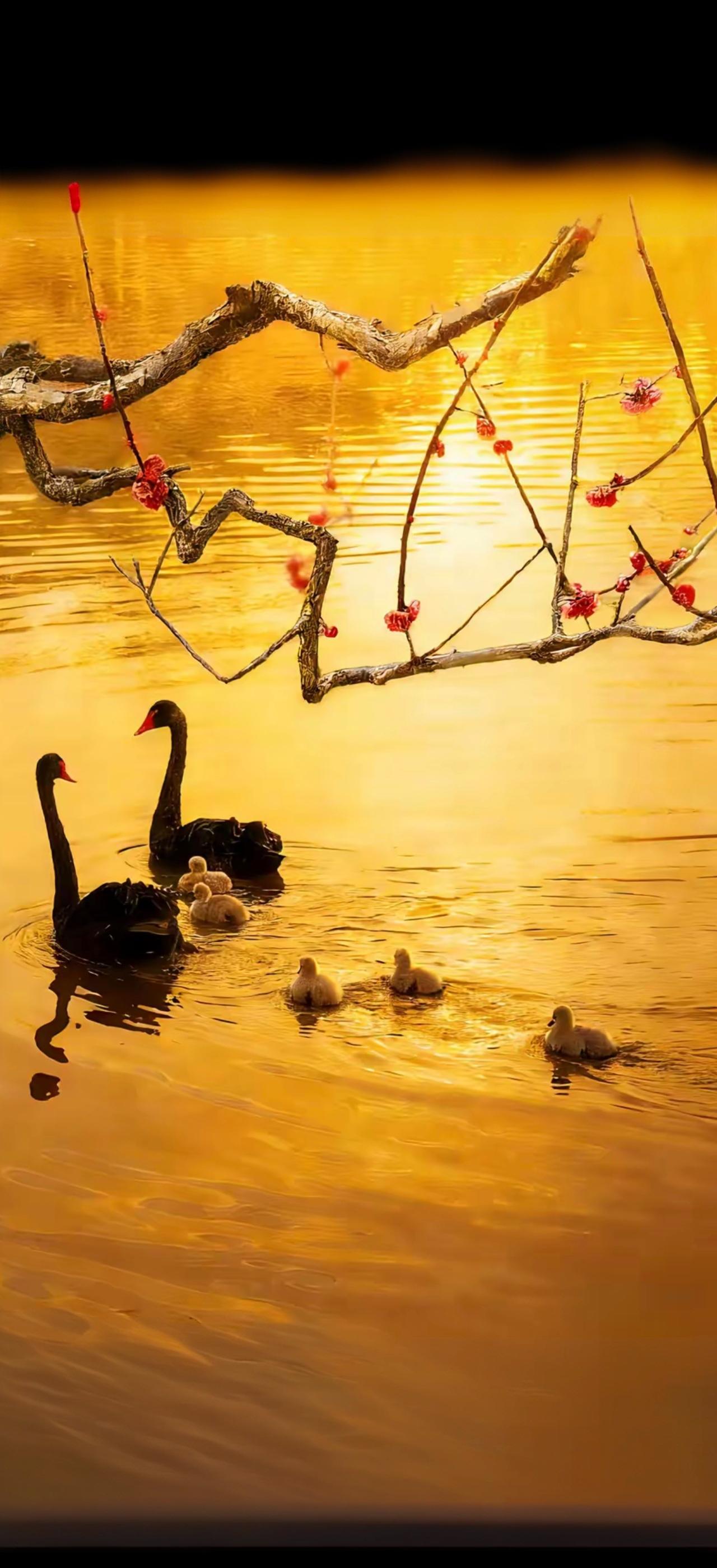 人这一生，亏欠最多的人，可能是父母，也可能是自己。
父母是我们生命的起点与避风港