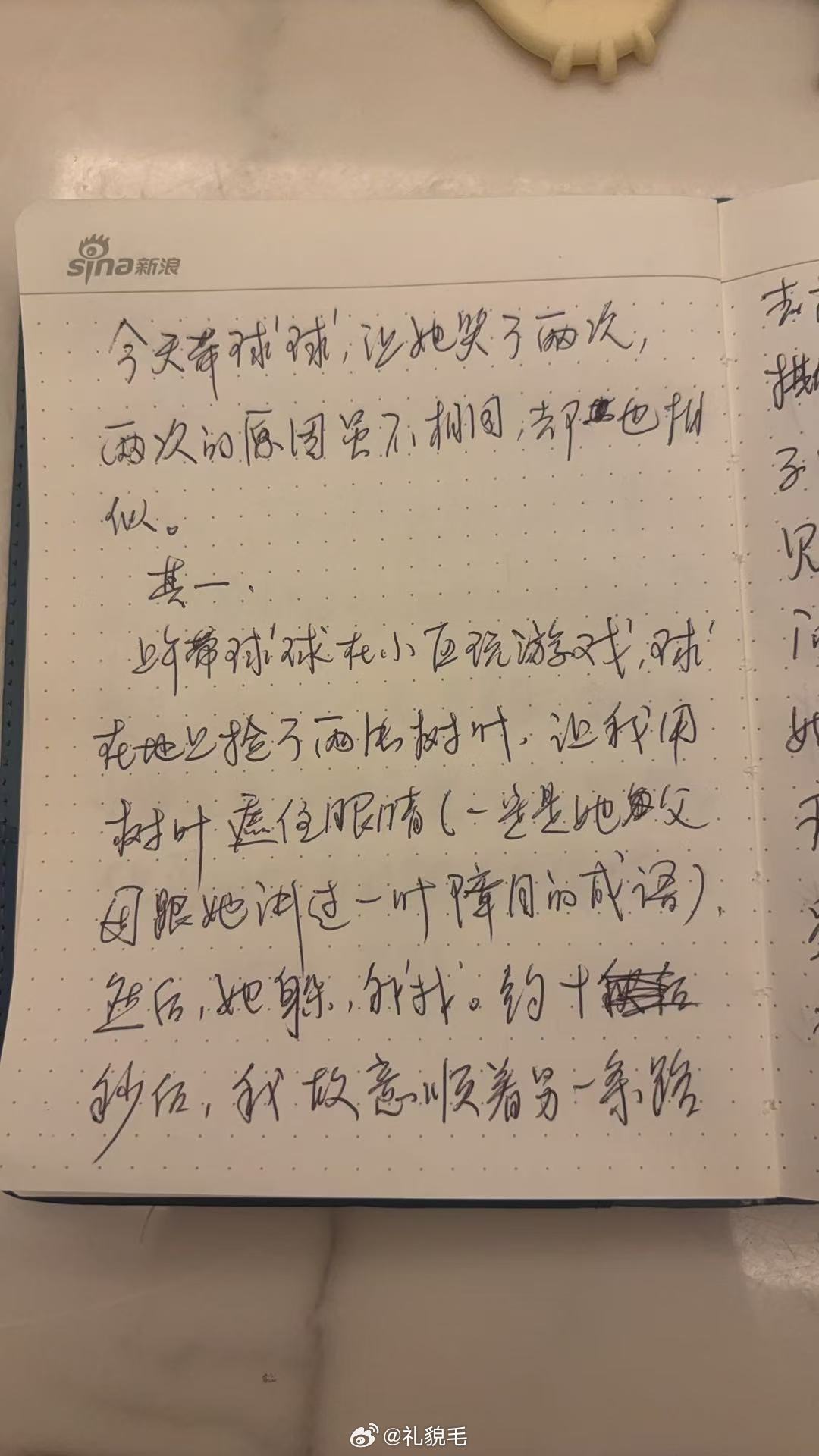 爷爷一来立刻笔耕不缀献上爷爷日记不知道30年以后球宝看到这些文字会是什么心情——