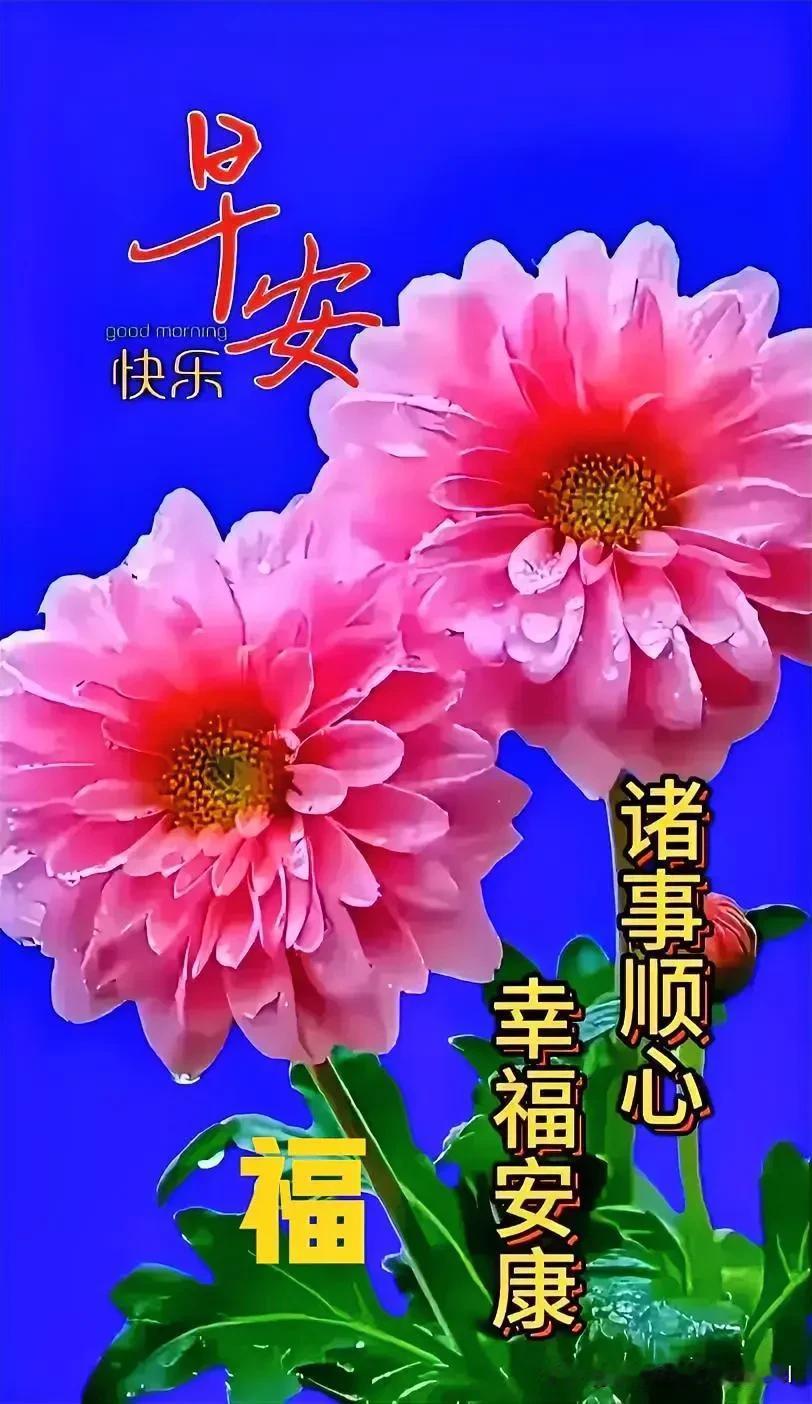#对联佳作分享#
联1：🌺🌺🌺
菊花盛开秋风冷
柳叶轻摆夏雨绵

联2：?
