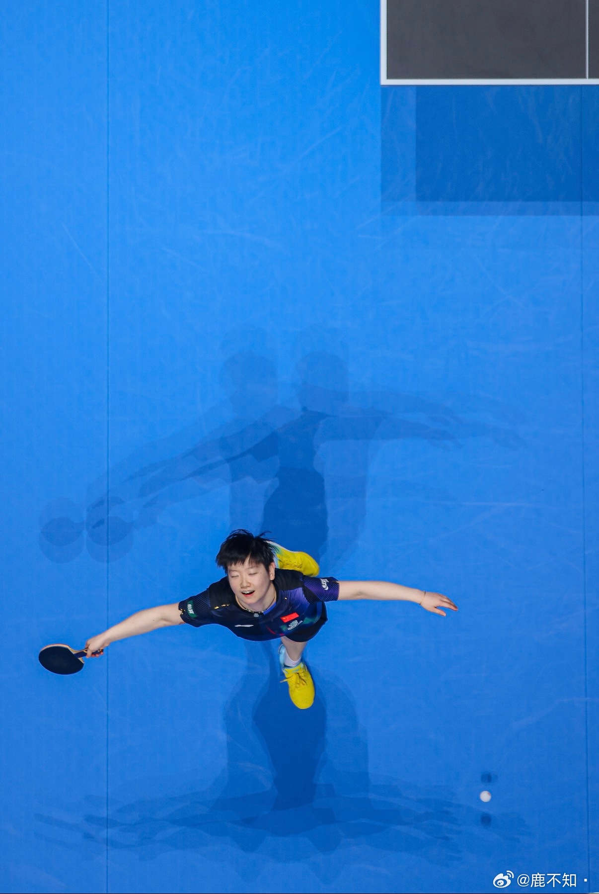 孙颖莎 我看评论说很像鲨鱼在海里遨游，真的是这样，前面手臂的阴影就很像起伏的波浪