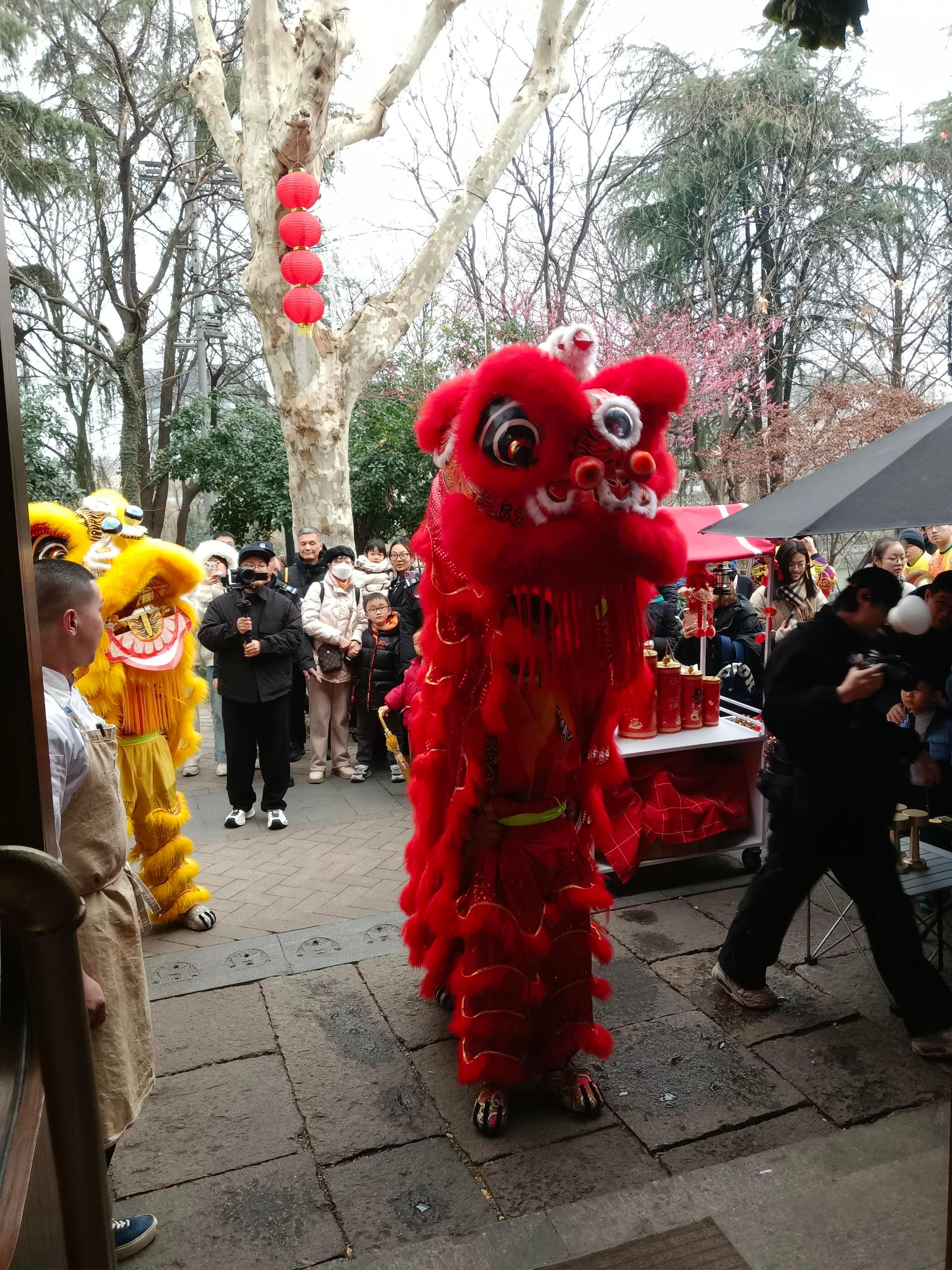 不等的 元宵节  不用等来了就有快乐  