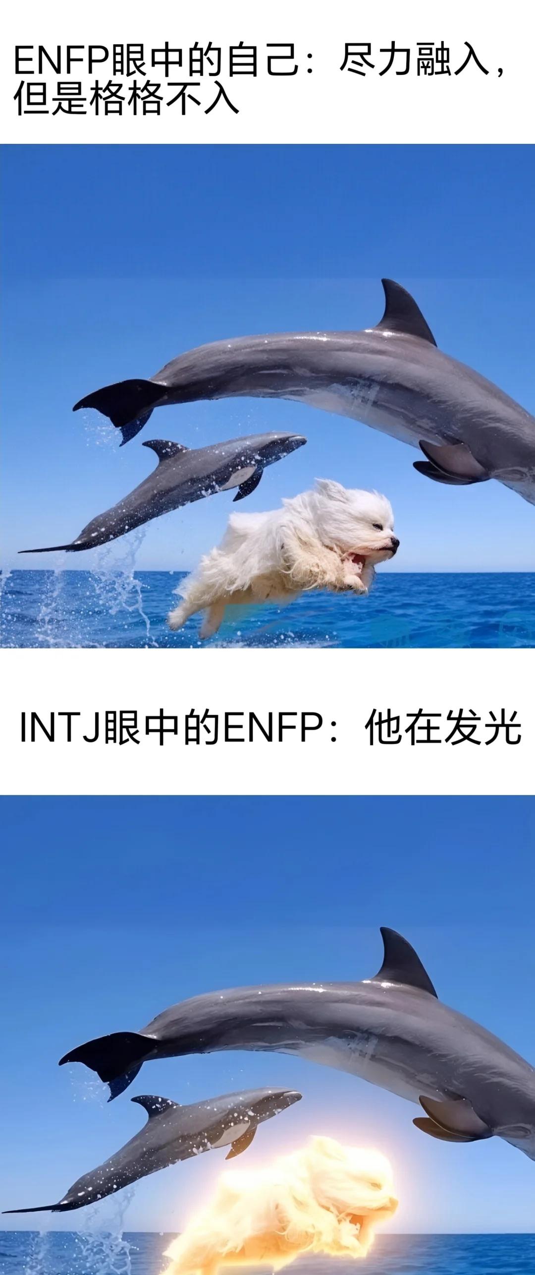 彩虹组梗图
mbti梗图 彩虹组
灵感