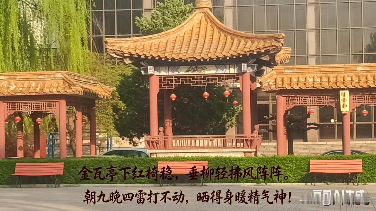 金顶红亭阳光照，朝九晚四金宝座。雷打不动静心坐，杂念思虑一扫光。