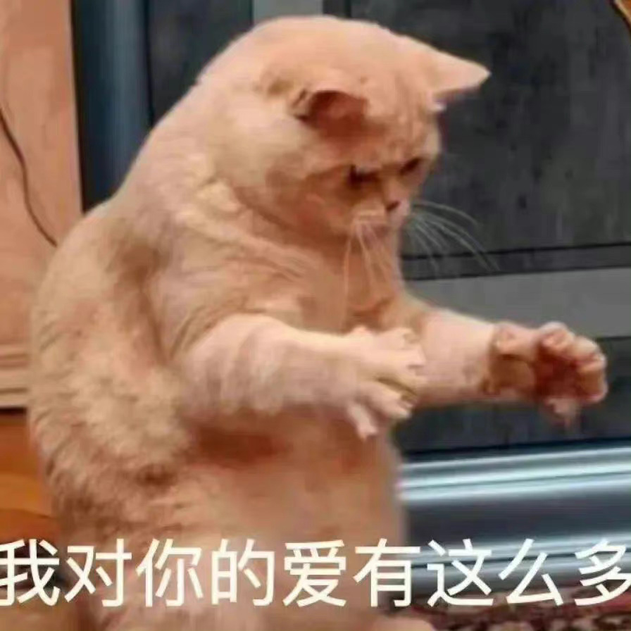 品牌霸霸汇总，多来加🔥lifespace益倍雪花啤酒勇闯天yoose有色C咖油