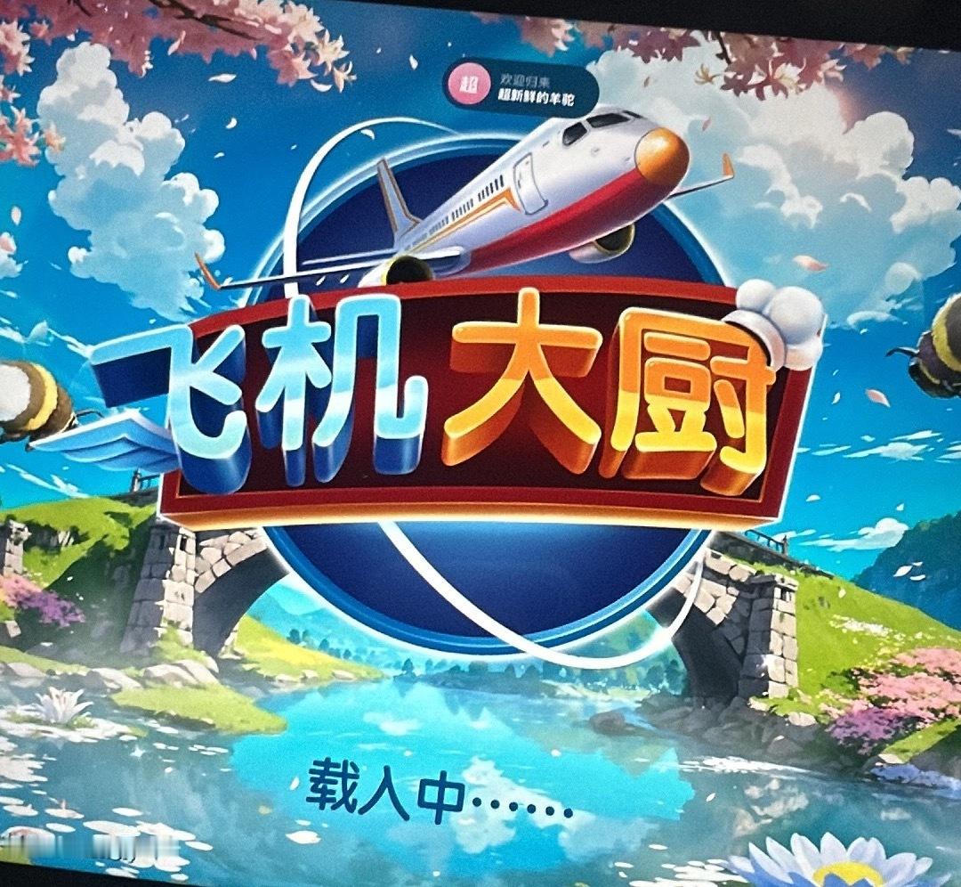飞机大厨。 