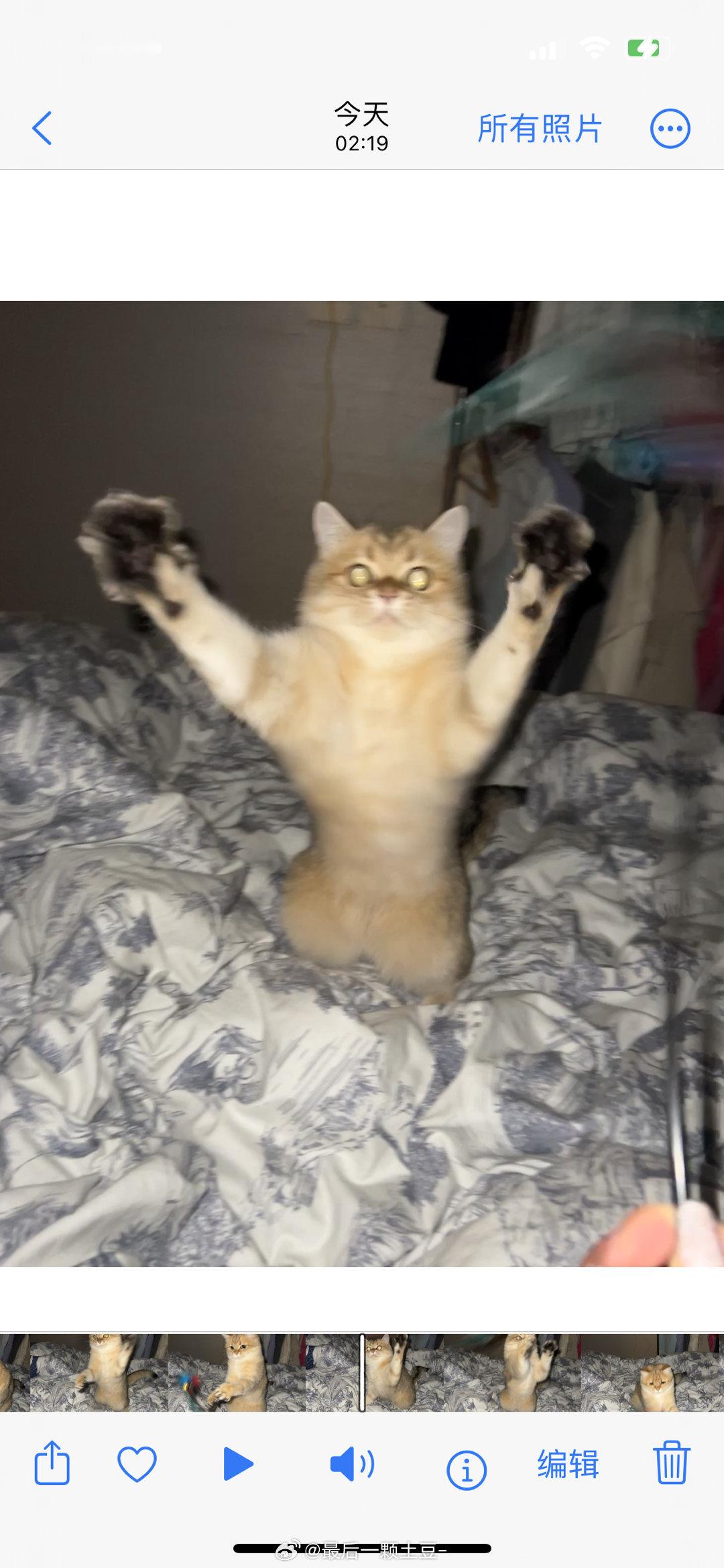 敦敦你…… ​​​