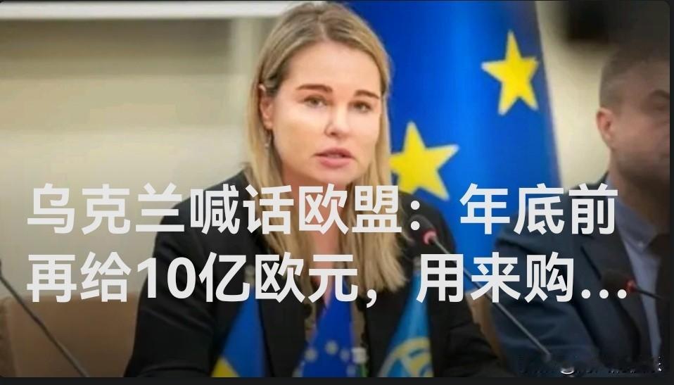 ‌乌克兰呼吁欧盟年底前再拨10亿欧元 用于采购美国武器‌

   据外媒报道随着