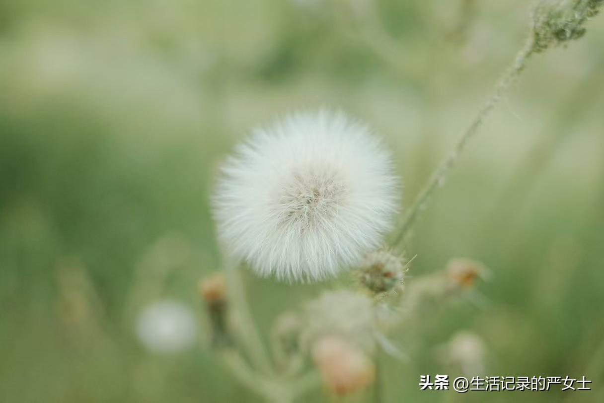 我发现减肥不需要刻意，这样去吃，保管你能瘦下来。老公只用了70天时间，就瘦了整整
