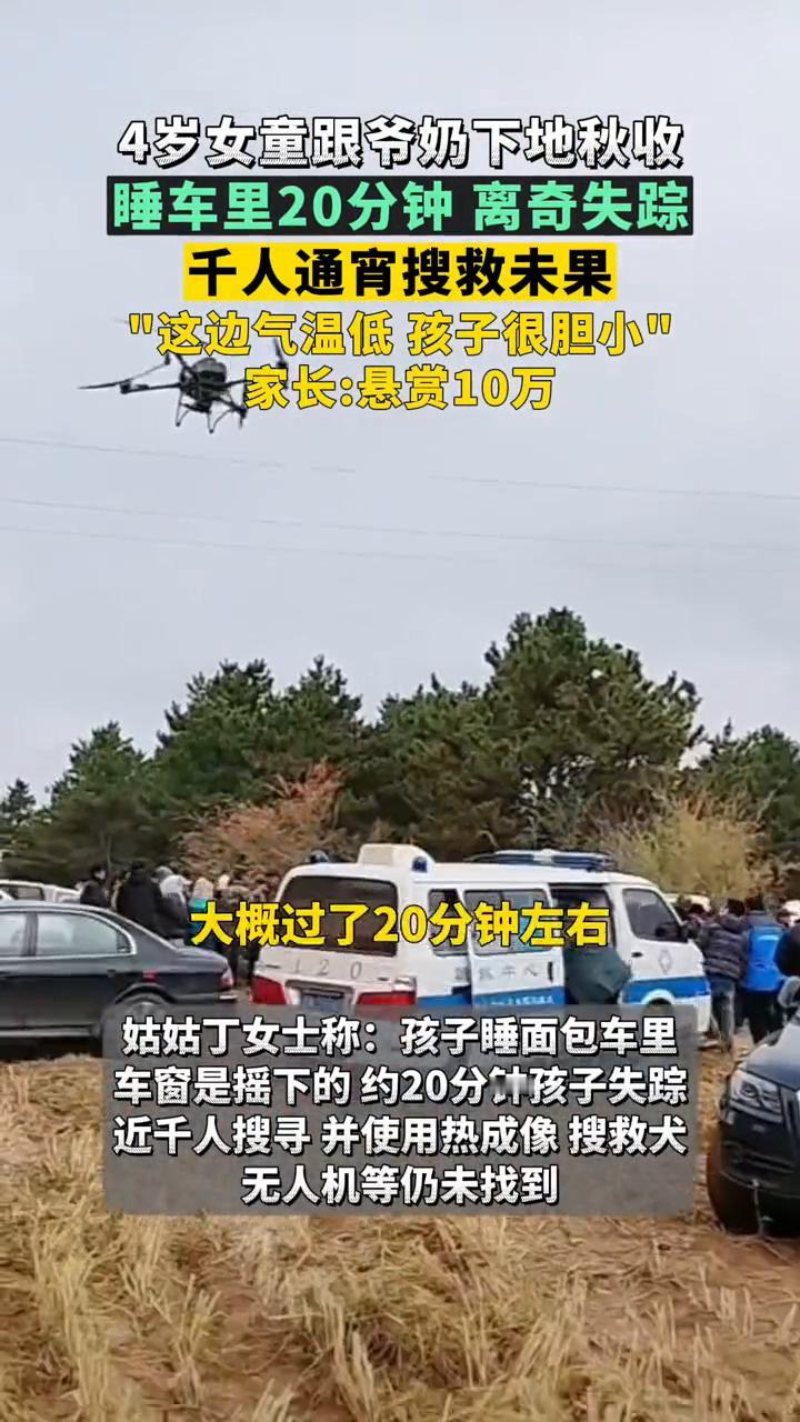4岁女童跟爷奶下地秋收，睡车里20分钟离奇失踪，千人通宵搜救未果。