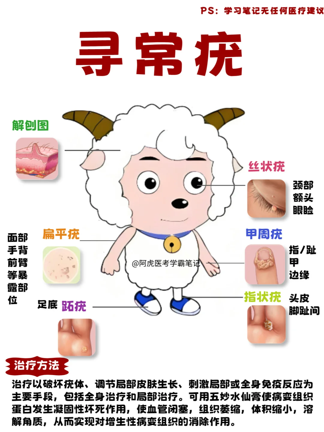 医学生笔记📒：寻常疣是啥？👆