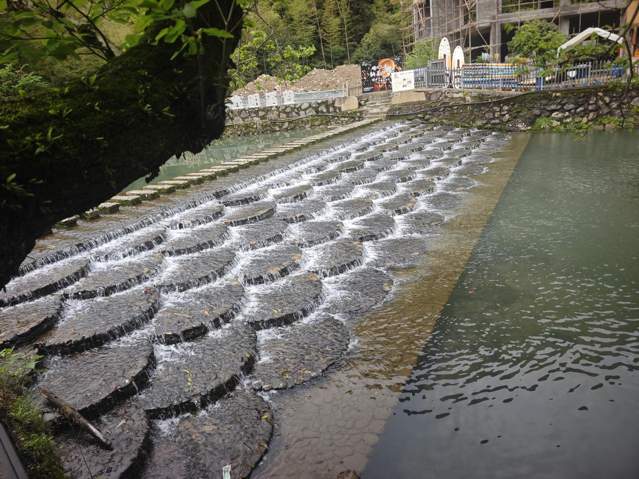 春日生活打卡季 小溪潺潺流，绿意盎然间，自然与人工的和谐共存。