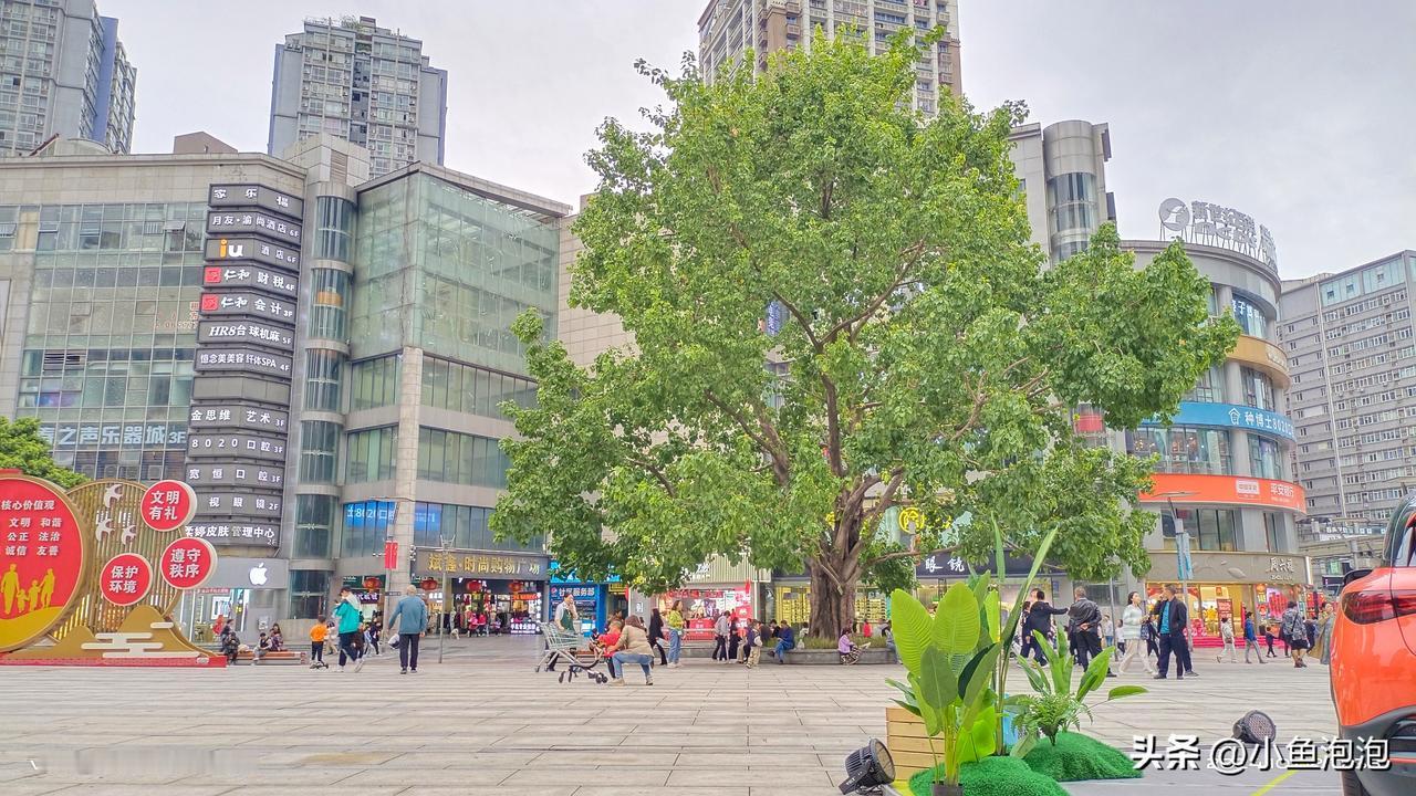 我这两天翻来覆去想了好多遍，终于看清了，你从来都不是喜欢我，只是习惯了我毫无保留