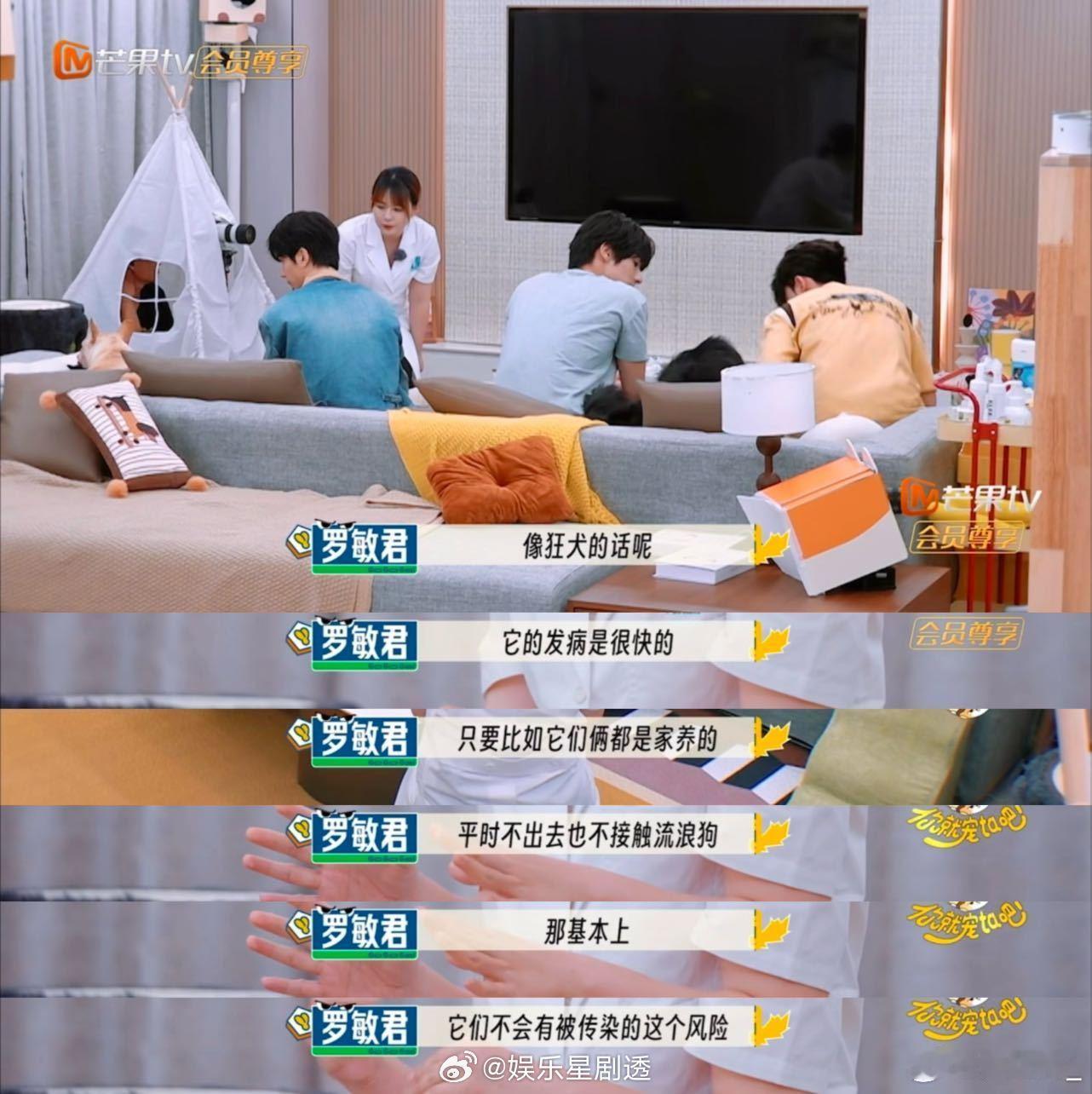 狗咬狗需要打狂犬疫苗吗 被《你就宠ta吧》里的这个问题问住了？中国小动物保护协会