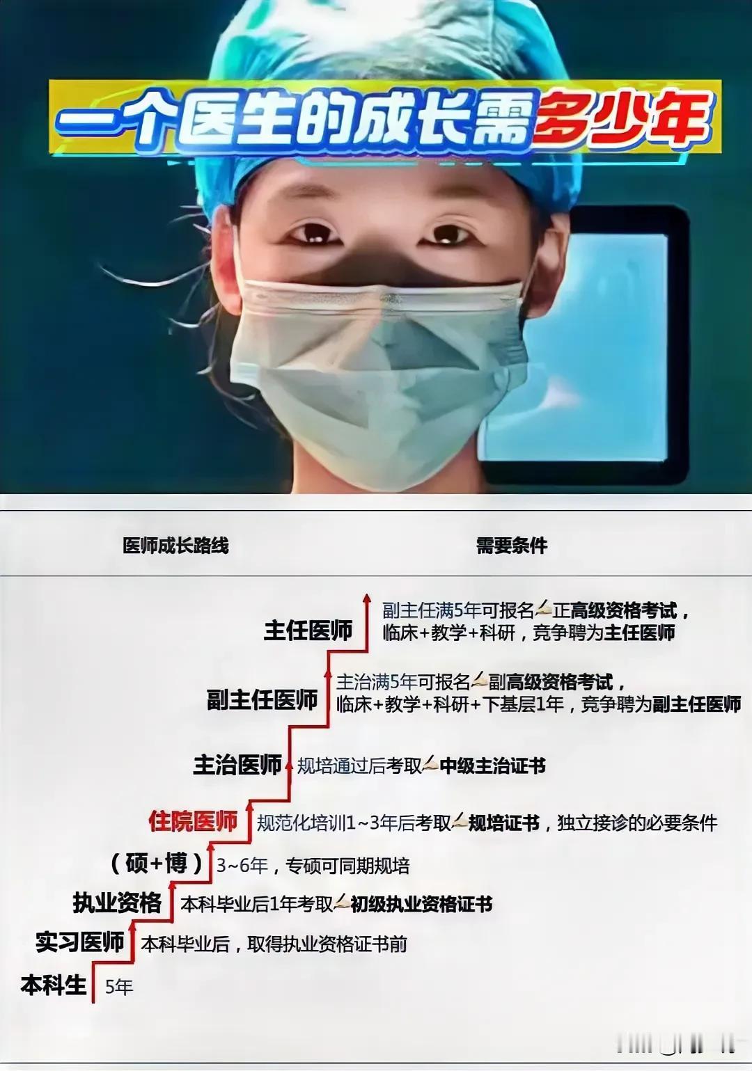 天呐！终于有人将医生的成长路线说清楚明白了，什么本科生、实习医师、执业资格、硕博