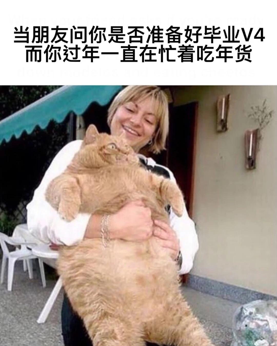 攀岩梗图｜第八弹
欢迎网络岩友们自取
	
关㊗️我，获得每日攀岩快乐源泉[飞吻]