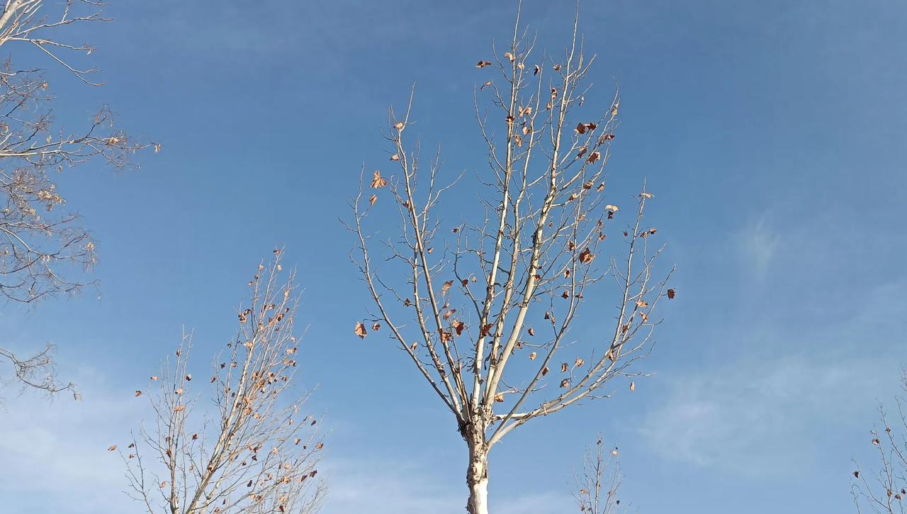 人民日报批评三大运营商。移动、电信、联通，人民日报点名批评你们了，说你们升套餐容