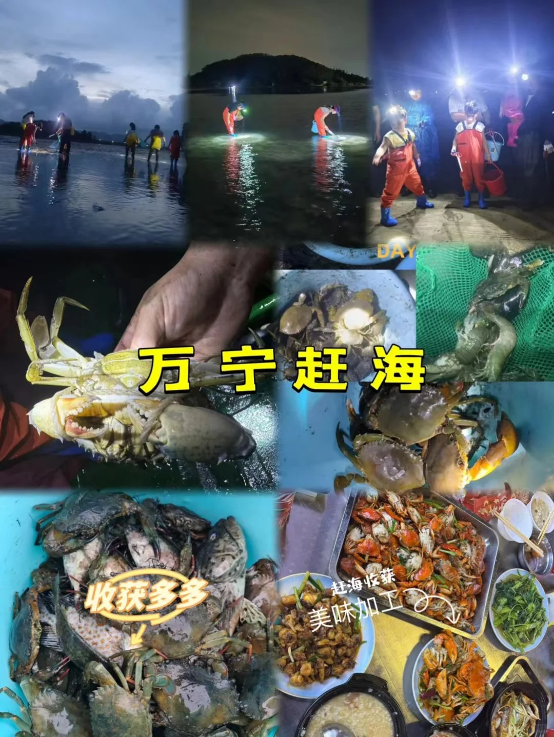赶海🦀🦀货太多🦀约啦