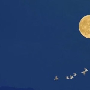 你今天的努力，是幸运的伏笔，当下的付出，是明日的花开。即使现在还看不到成果，请不