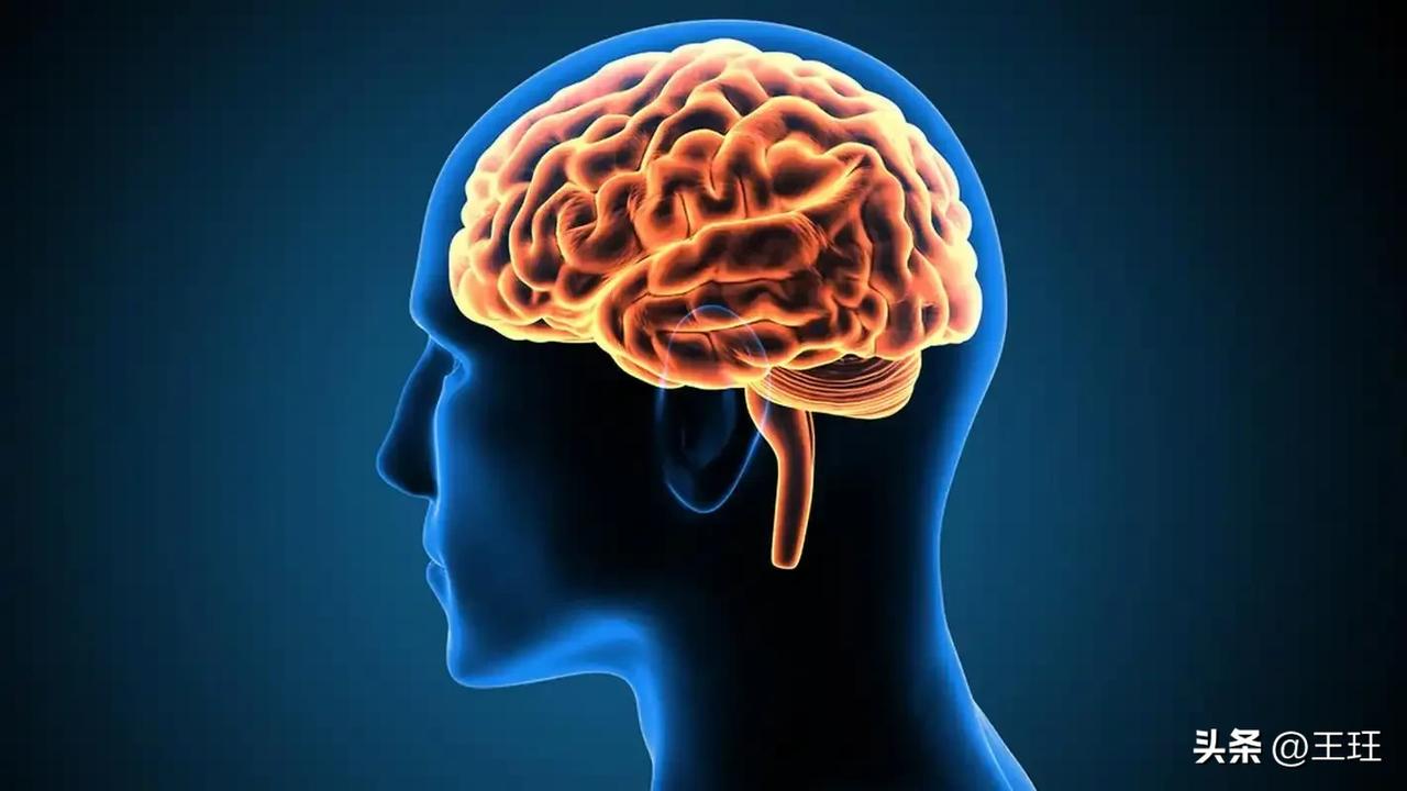 警惕！45~54岁是大脑衰老“分水岭”，错过再想逆转就晚了！

炸了！最新研究给