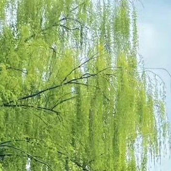 阳光信用‎阳光‎信用 ‎每日一善 善良是一种美德，善良是一种远见，善良是一种自信