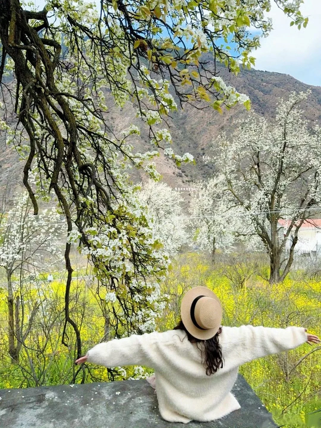 金川梨花保姆级攻略✨错过等一年的春日浪漫