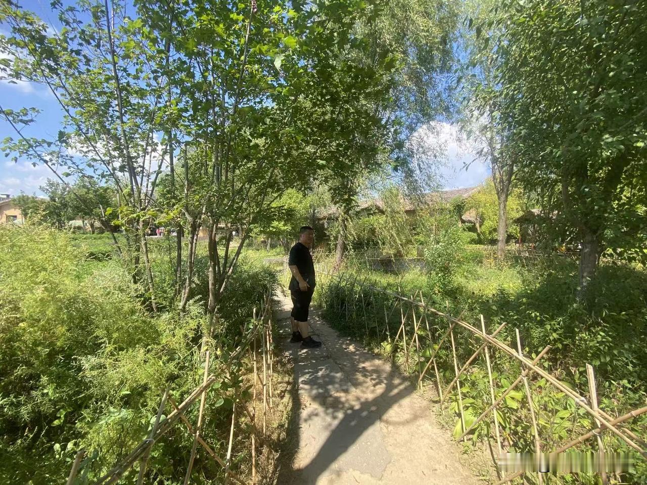 我说说真实的我吧，我不想虚伪，因为在这里，很多人都不认识我，或者即使认识也不会对