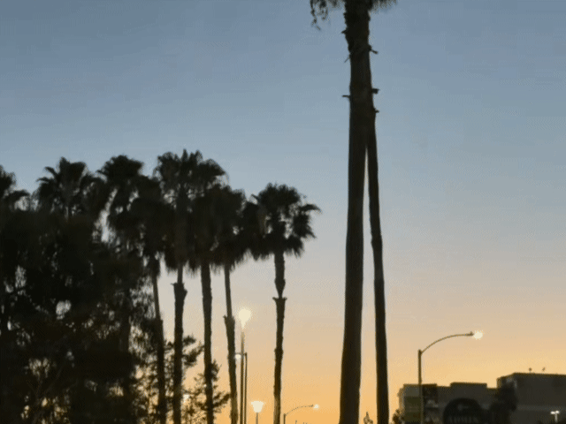林诗栋自媒体日常更新风景图！
我就想知道林诗栋这是在哪儿，看这些植物不像是北京，