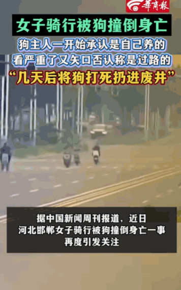 必须严惩狗主人！河北邯郸，一女子，在上班路上被一只大狗撞倒，最终撒手人寰。而那狗