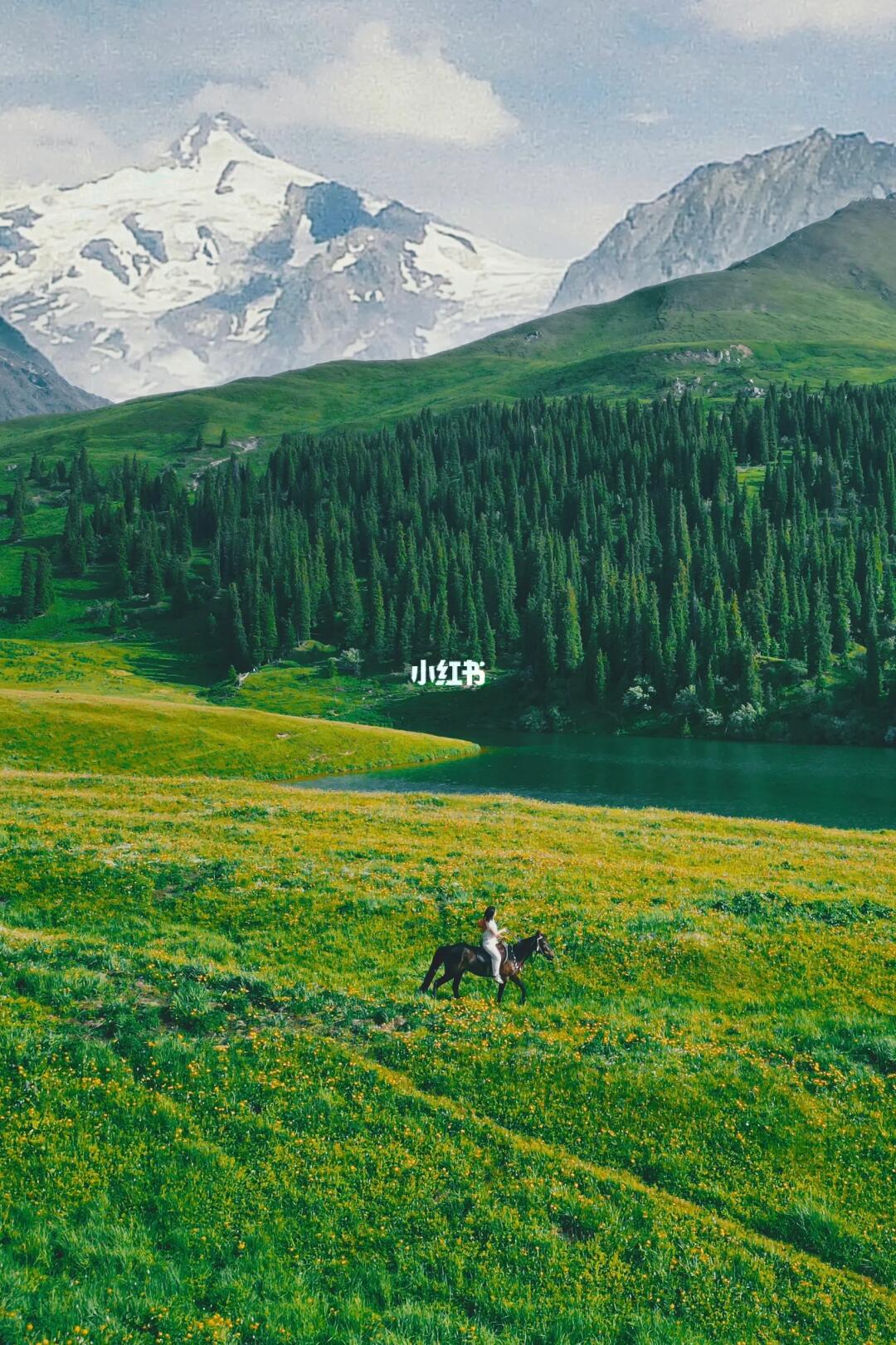 5月总要去躺新疆阿勒泰🌿满满的自由松弛感