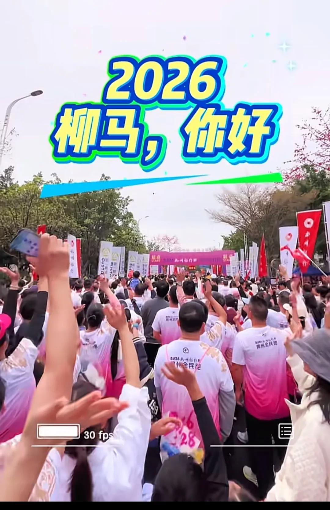 洋紫荆花盛开的柳州马拉松，城市花景与体育运动精神的完美融合