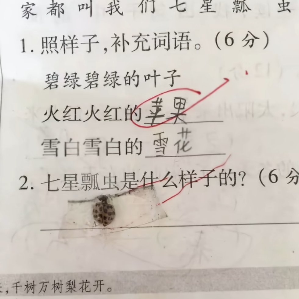这还是个写实派生活笑料撞满怀我的幽默灵感片场