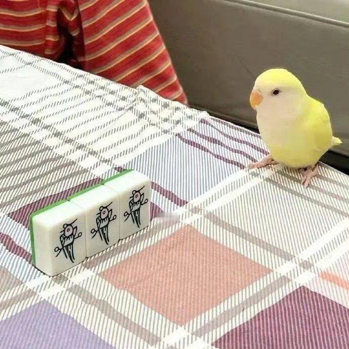 𝑳𝒂𝒕𝒆𝒓 𝒅𝒂𝒚𝒔 ☕ “遗憾的事情太多了 ，所以没关系 尽