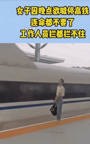 这小姐姐真是厉害了，把高铁当公交车了，她以为招招手，高铁就会为她停留呢。